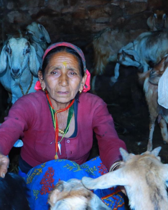 उदाहरणीय सरस्वती