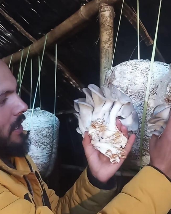 च्याउ बेचेर वार्षिक २५ लाख आम्दानी गर्दै मौरडाका खेमराज