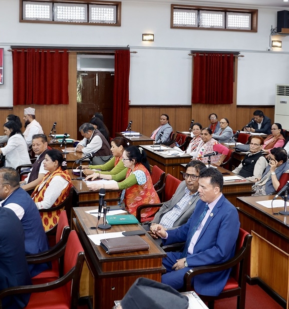 राष्ट्रिय सभामा जनसरोकारका विषयमा सरकारको ध्यानाकर्षण