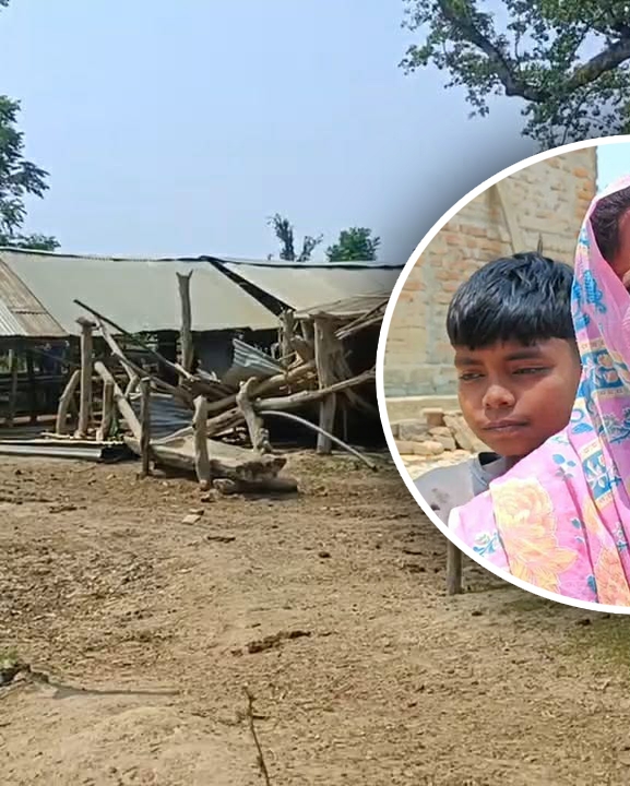 ९ भैंसी हराएपछि एकल महिलाको गोठ रित्तियो