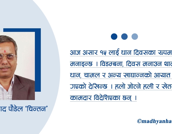 असारको चटारो : रोपाइँ कि राजनीति ?