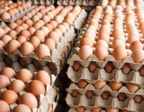 रौतहटका सीमावर्ती नाकाबाट भित्रिँदै भारतीय अण्डा