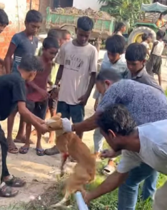 गौरमा निःशुल्क एन्टी-रेबिज खोप शिविर सञ्चालन, समयमै खोप लगाउन आयोजकको आग्रह