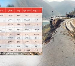 अत्यासलाग्दो दुर्घटना, चालकलाई दोषको भारी