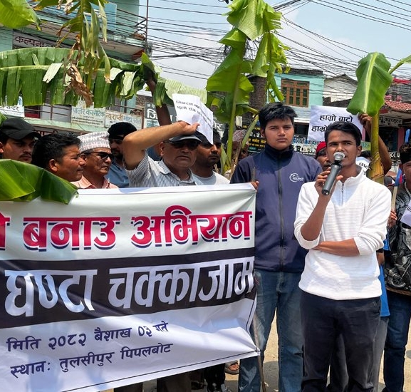 टेण्डर भएको तीन वर्षमा पनि निर्माण नभएपछि सडकमै रोपियो केराका बोट