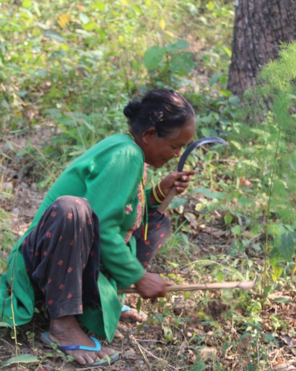 प्रकृति टाढिँदा अस्तित्वको लडाइँमा लोपोन्मुख–सीमान्तकृत आदिवासी