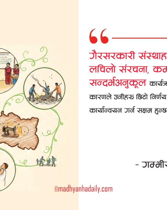 विकासमा गैरसरकारी संस्था