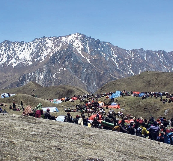 ५ जेठदेखि डोल्पाका यार्सा पाटनमा यार्सा संकलन गर्न पाइने