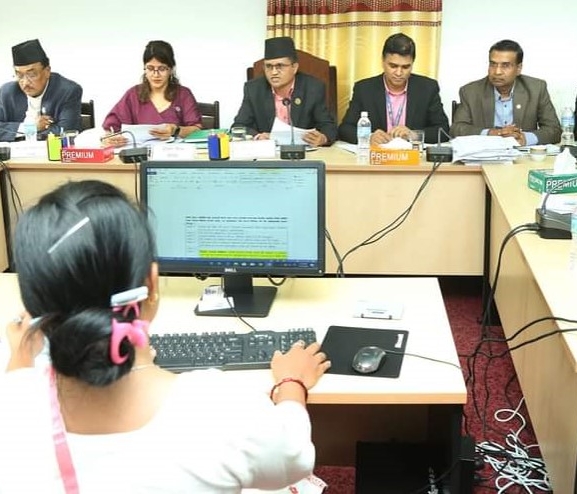 संसदीय छानबिन विशेष समितिले गर्‍यो रवि लामिछानेसँग सोधपुछ