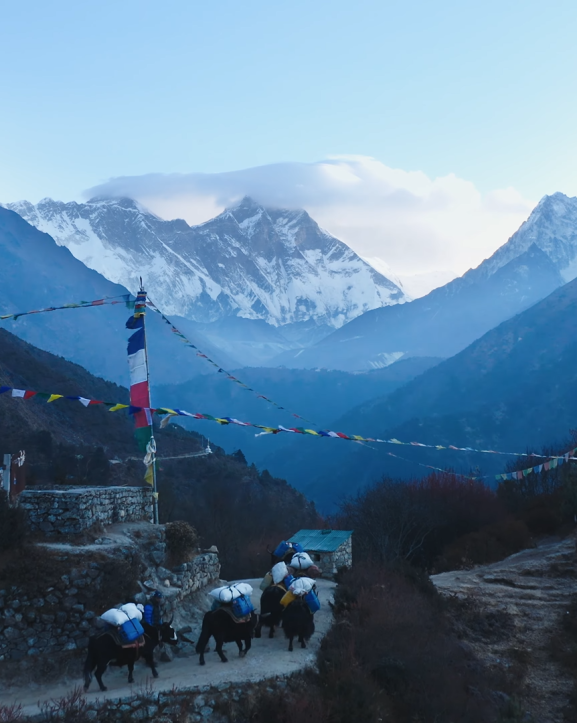 ‘एट द टिपिङ पोइन्टः आर्ट एण्ड इकोलोजी फ्रम द रूफटप अफ द वर्ल्ड’ सुरु