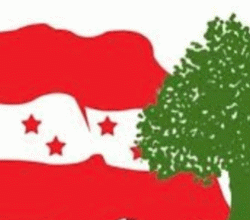 कांग्रेसको १५औँ महाधिवेशन : वडा अधिवेशन आजदेखि सुरु