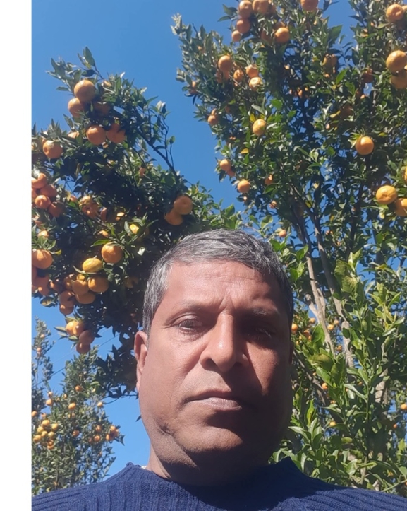 अर्घाखाँचीका किसान सुन्तला खेतीमा आकर्षित