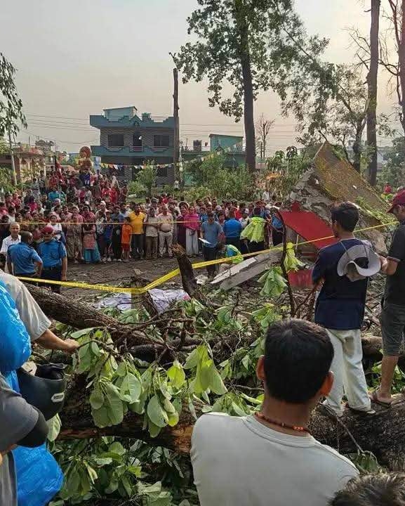 नवलपरासीमा हावाहुरीले रुख ढल्दा २ जनाको मृत्यु, ३ घाइते
