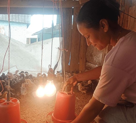 अनुदान दिएर कृषिमा प्रोत्साहन गर्दै सूर्योदय नगरपालिका