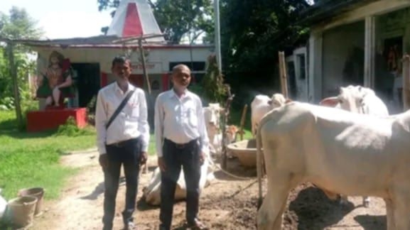 लम्पी स्किन रोगविरुद्ध खोप अभियान