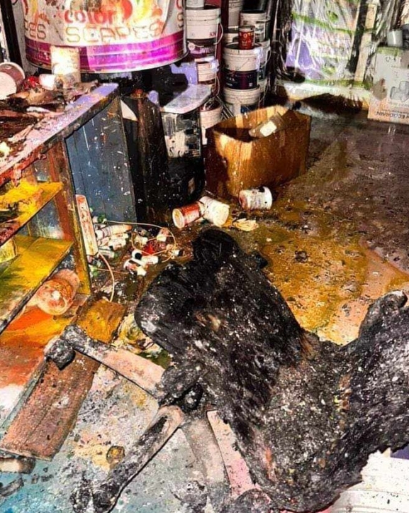 गौरमा भीषण आगलागी, ५० लाख बढीको क्षति