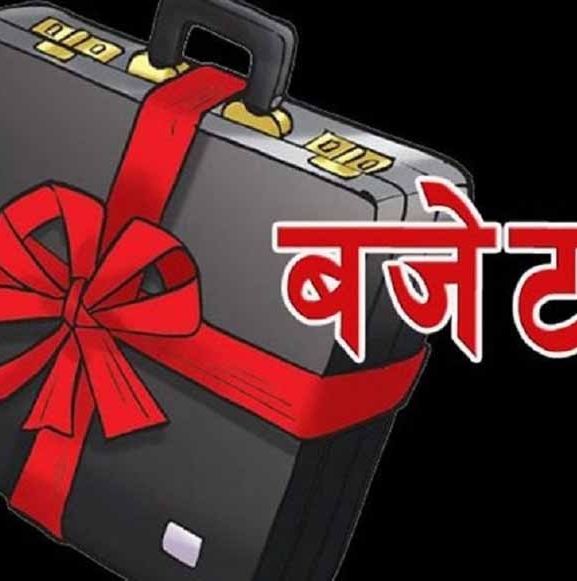 सांसदलाई बजेटकै चिन्ता