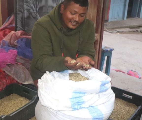 व्यावसायिक कफीखेतीमा जुट्दै हतुवागढीका किसान