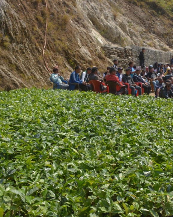 काभ्रेका किसानलाई कफी उत्पादन प्रविधि तालिम
