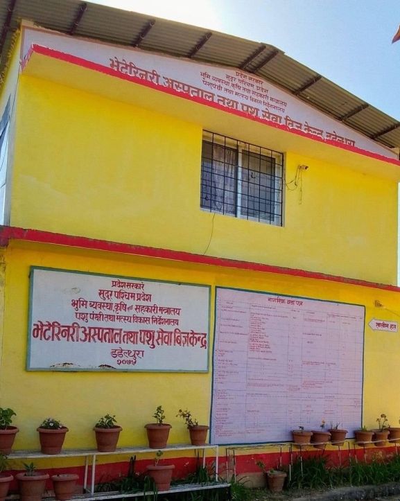 डडेल्धुरा दुध र मासुजन्य उत्पादनमा आत्मनिर्भर