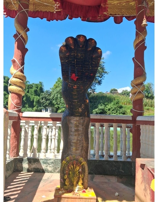 धापाखेलको नागदहमा नागपञ्चमी मेलाको तयारी पूरा