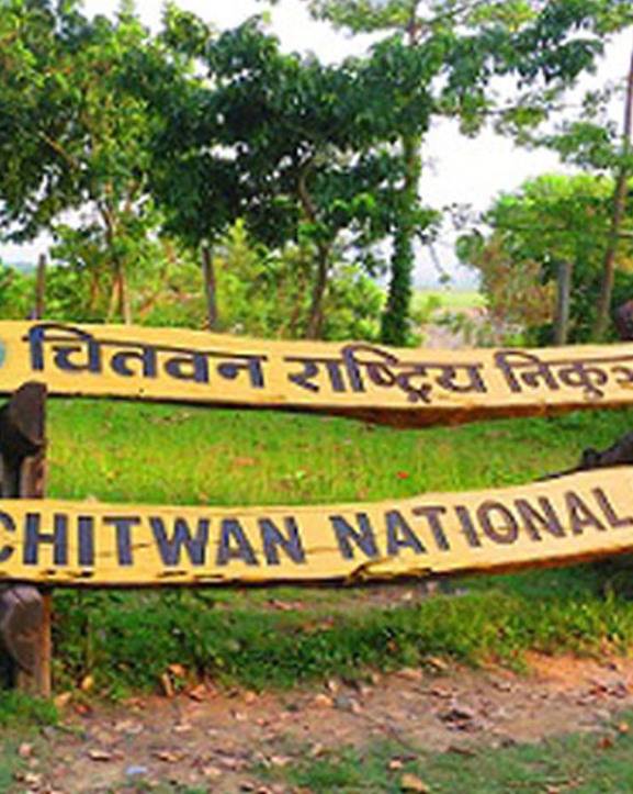 चितवन राष्ट्रिय निकुञ्जमा पर्यटक आगमन बढ्यो, २७ करोडभन्दा बढी राजस्व संकलन