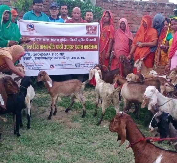 स्वावलम्बी समूहका सदस्यहरूलाई ५० वटा बिउ पाठी वितरण