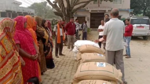 खाद्य र कृषि संगठनद्वारा गहुँ र मसुरोको बिउ वितरण