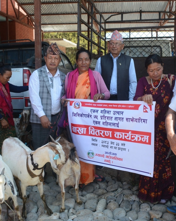 एकल महिलालाई ७५ प्रतिशत अनुदानमा बाख्रा