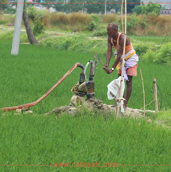 १५ लाख ९० हजार हेक्टरमा पुग्यो सिँचाइ सुविधा