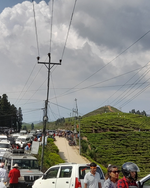 कोशीमा पर्यटकको चहलपहल बढ्यो