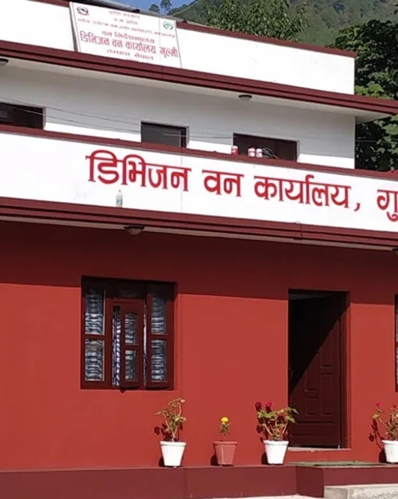 गुल्मीका वन्यजन्तु पीडित किसानले तीन वर्षपछि क्षतिपूर्ति पाए