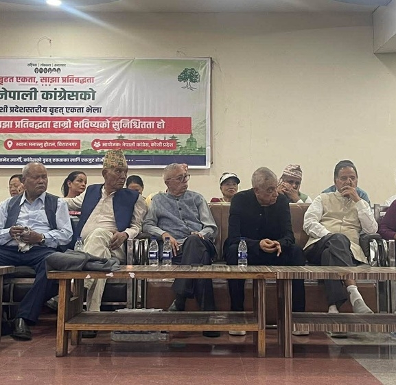 'बार्गेनिङ'मा संस्थापनइतर