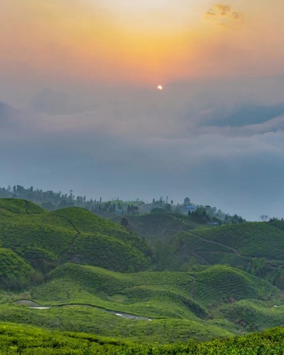 सूर्योदय, चिया र सौन्दर्यले भरिएको इलाम
