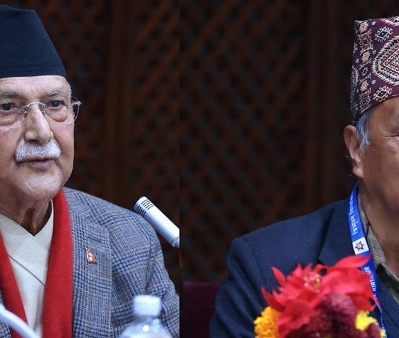त्रिविमै रक्षात्मक कुलपति