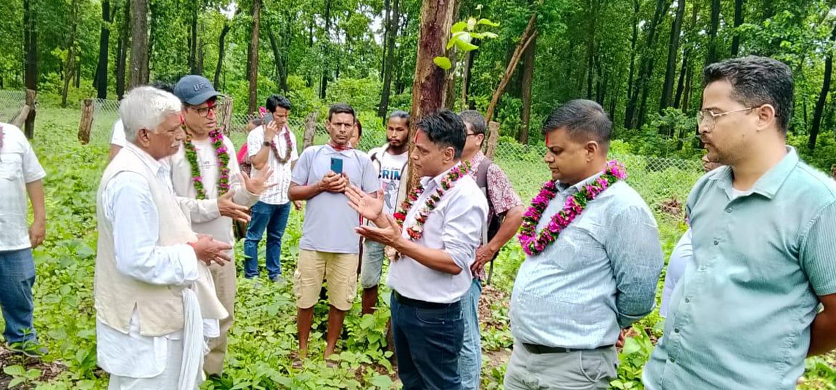 विकास निर्माणमा पनि सामुदायिक वन सक्रिय