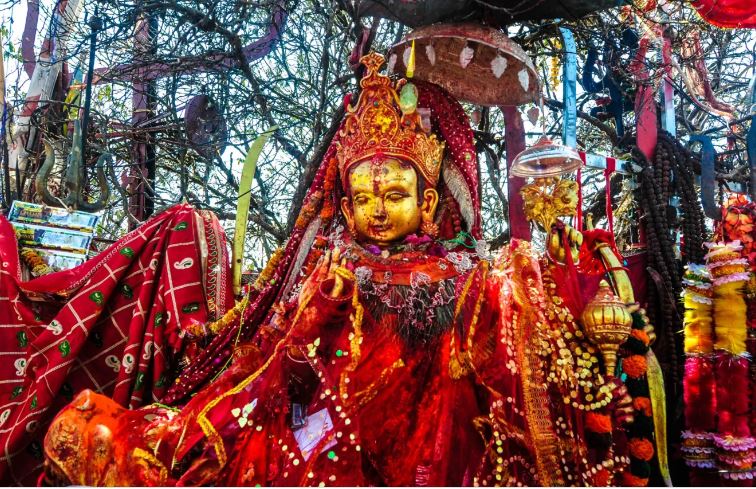 पाथीभरालाई विश्व सम्पदा सूचीमा समावेश गर्न पहल गरिने
