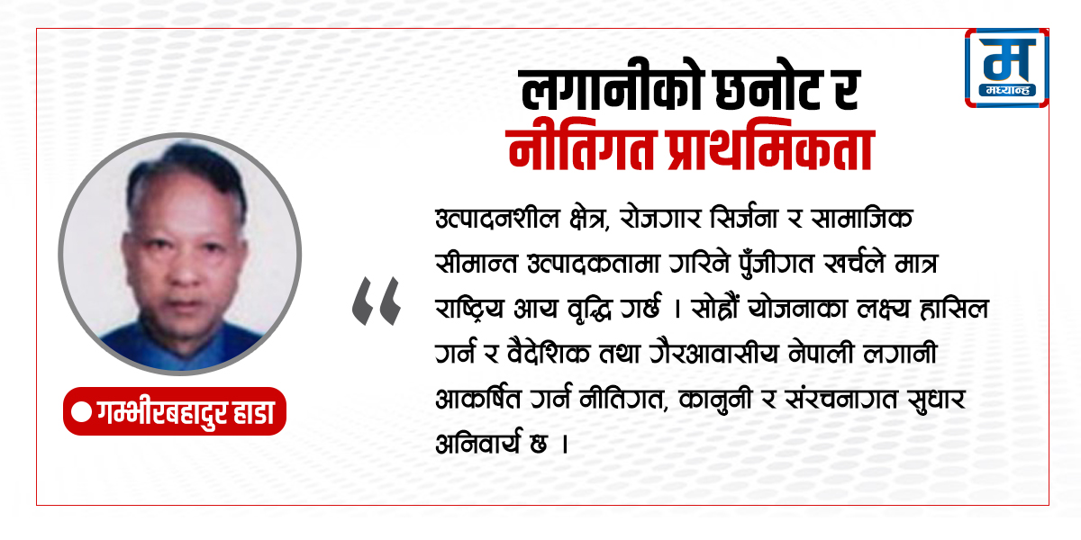 लगानीको छनोट र नीतिगत प्राथमिकता