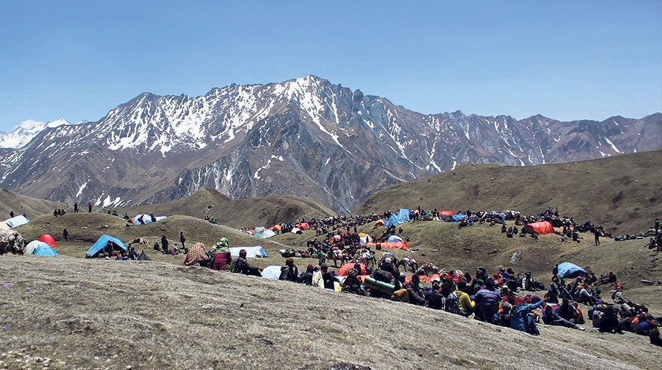 ५ जेठदेखि डोल्पाका यार्सा पाटनमा यार्सा संकलन गर्न पाइने