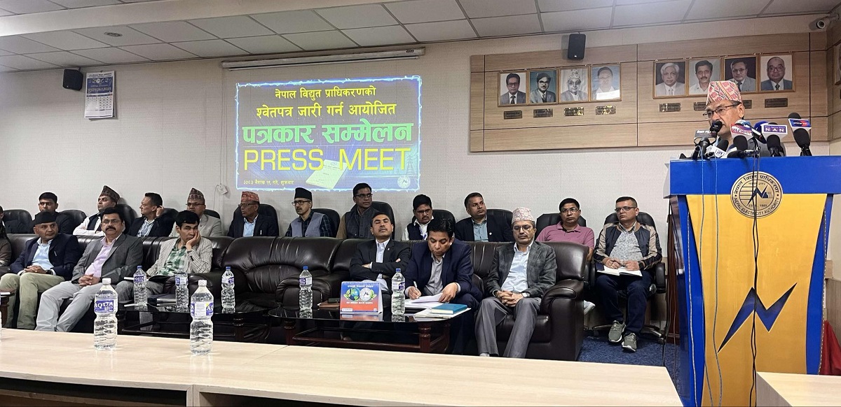 विद्युत् प्राधिकरणको श्वेतपत्र सार्वजनिक, विद्युत् आयात तत्काल शून्यमा झार्न नसकिने
