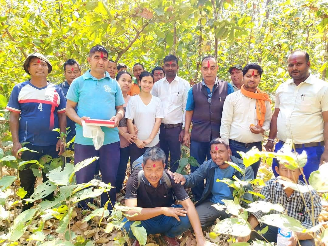 मायादेवी साझेदारी वनमा डढेलो नियन्त्रण गर्न ‘एयर ब्लोर’ प्रयोग