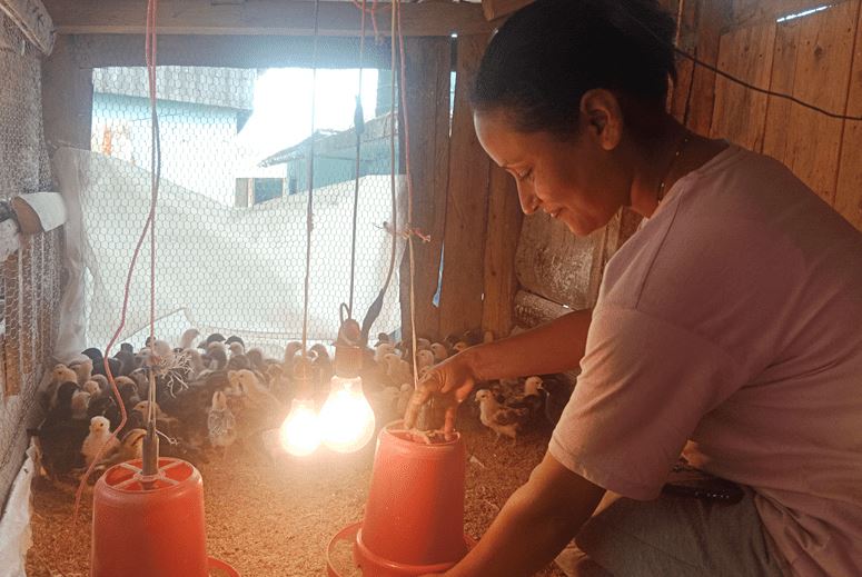अनुदान दिएर कृषिमा प्रोत्साहन गर्दै सूर्योदय नगरपालिका