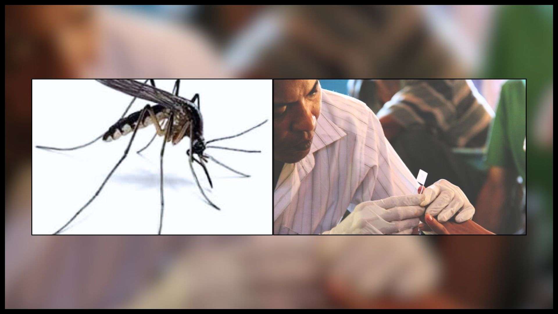 हिमाली जिल्ला औलोको उच्च जोखिममा