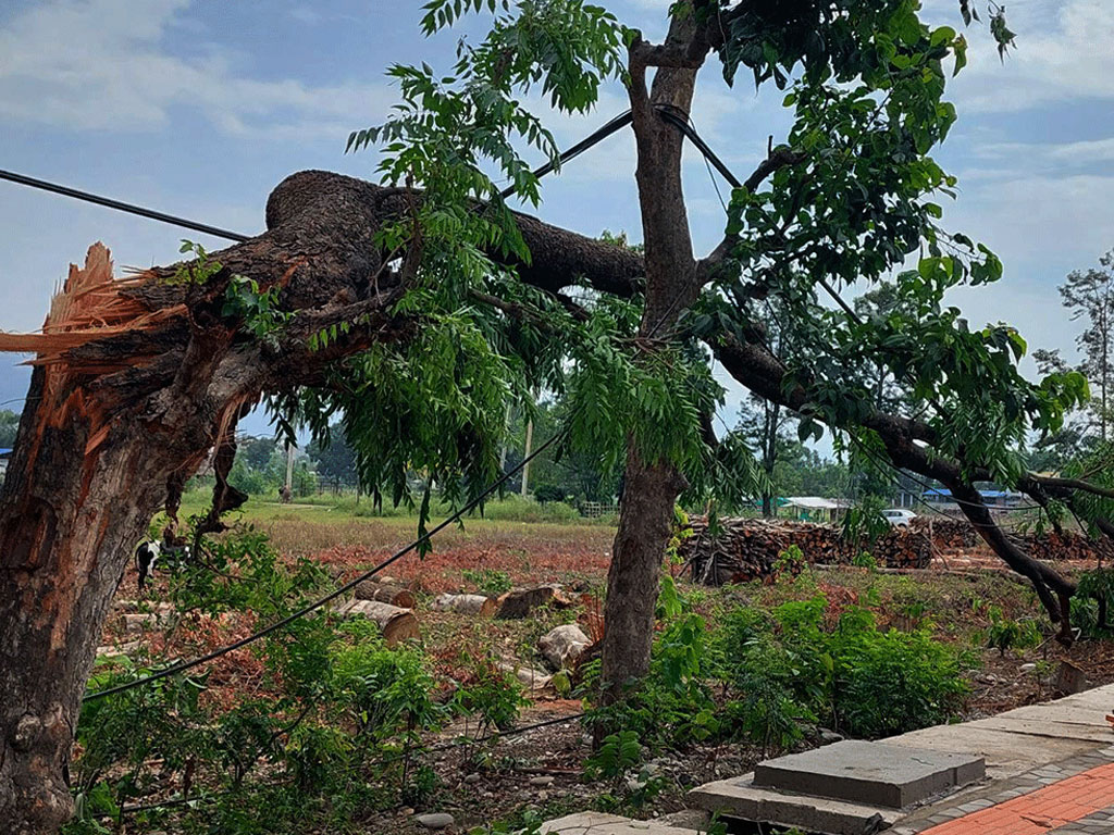 देशभर पछिल्लो २४ घण्टामा ७३ विपद्का घटना : ४ जनाको मृत्यु, साढे २ करोडभन्दा बढीको क्षति