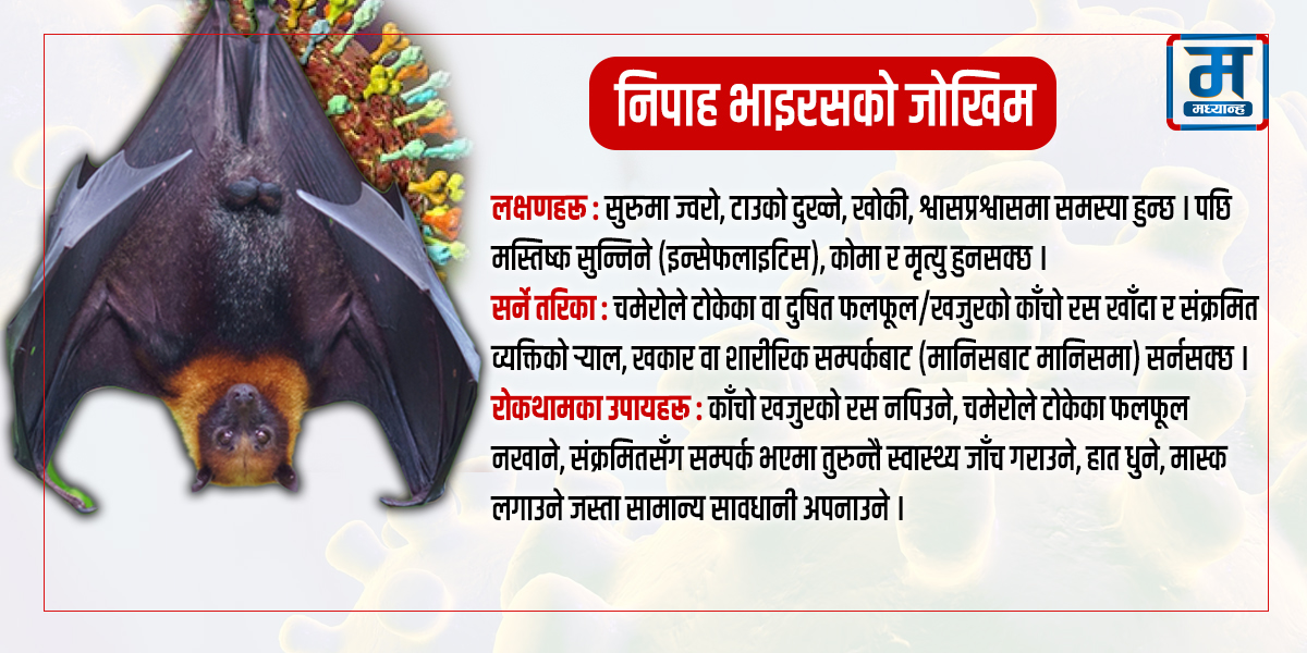 निपाह भाइरसको जोखिम : सतर्कता अपनाउन आग्रह, सीमा नाकामा बढाइयो निगरानी