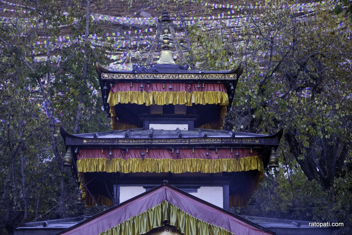मुक्तिनाथ गुठीको १७ हजार रोपनी जग्गा भोगचलन गर्नेको पोल्टामा