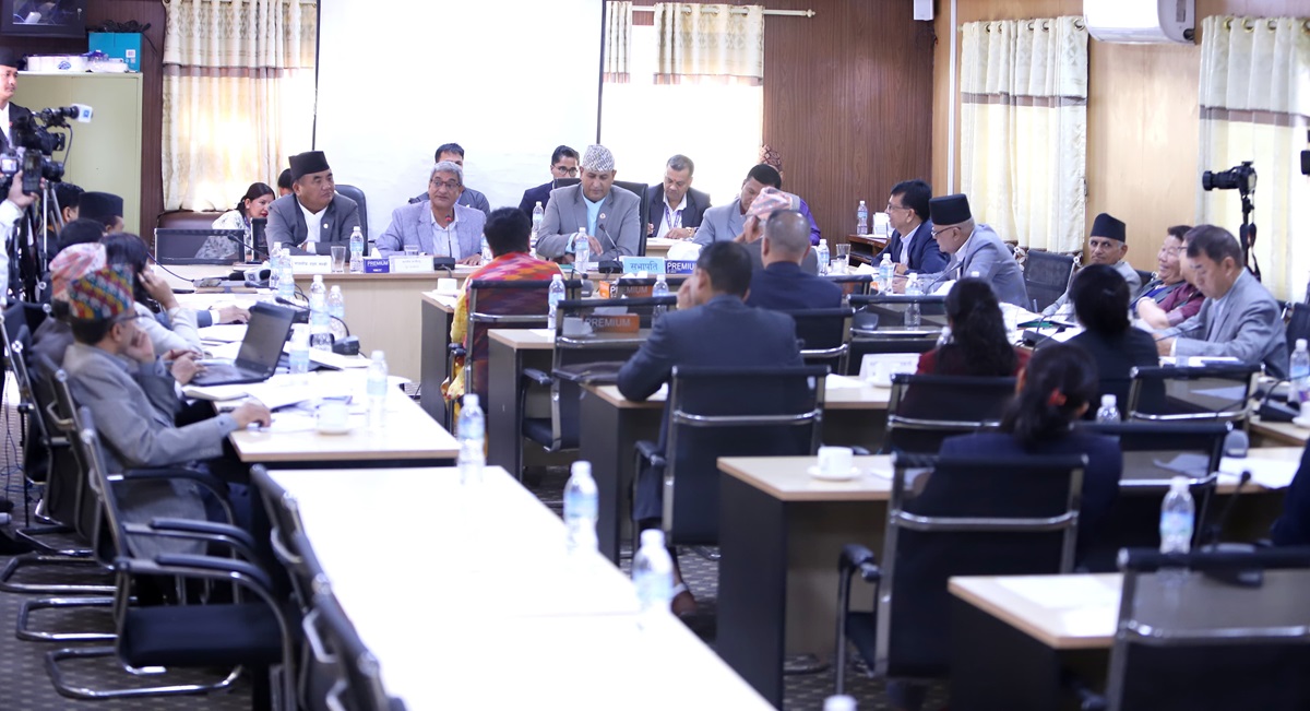नागरिकता विधेयकमाथि संशोधनकर्तासँग छलफल सम्पन्न