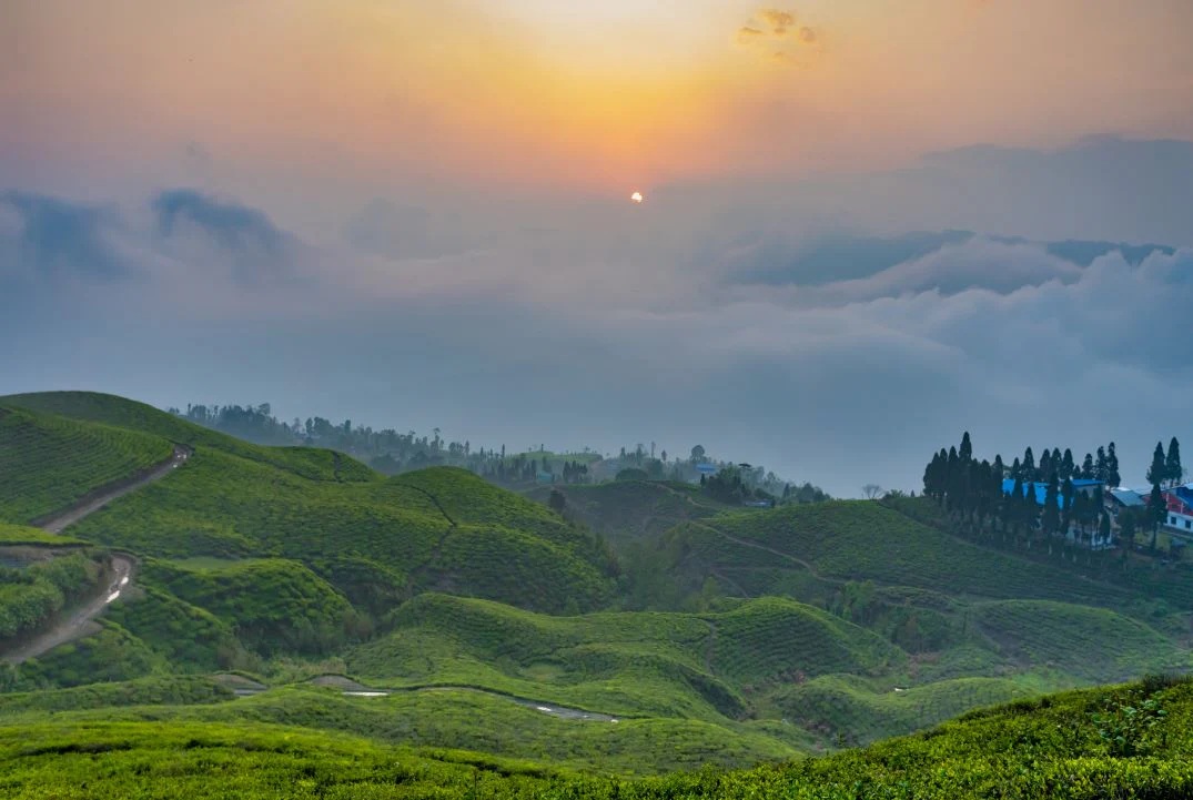 सूर्योदय, चिया र सौन्दर्यले भरिएको इलाम
