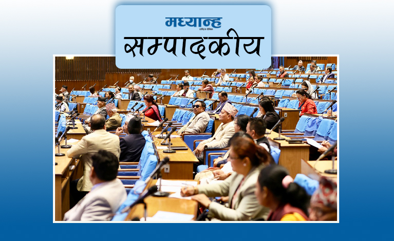भूमिका भुलेका सांसदहरू