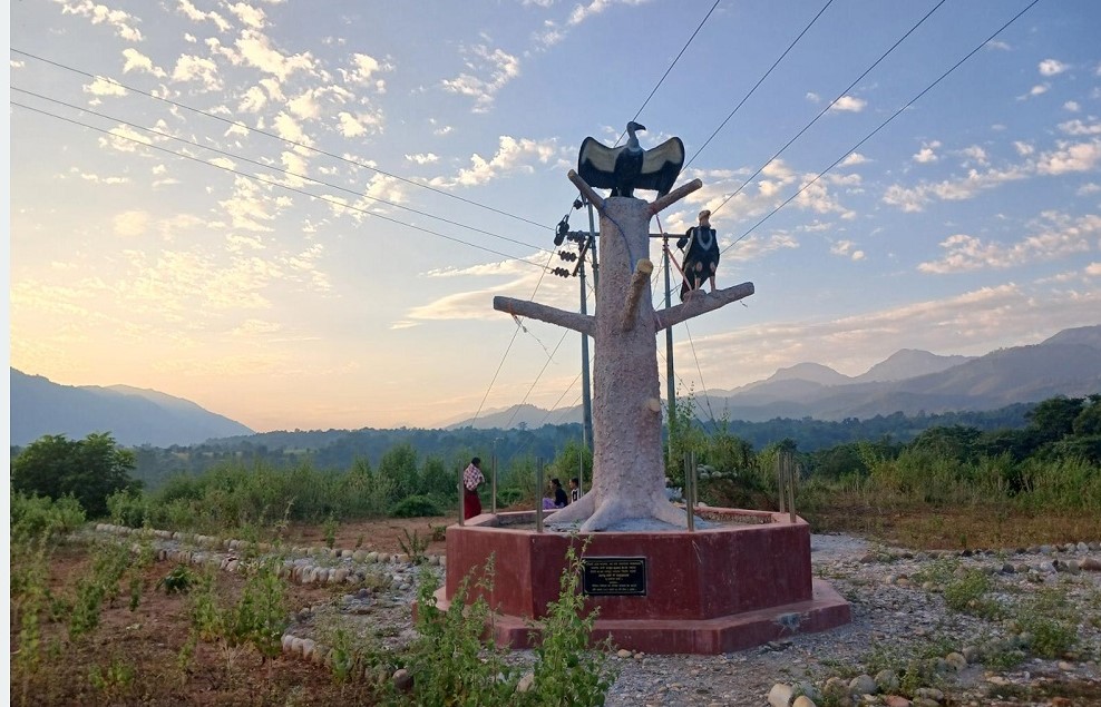 आहार व्यवस्थापनले गिद्धको सङ्ख्या बढ्दै